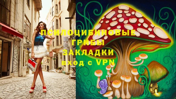 молекула духа Костерёво